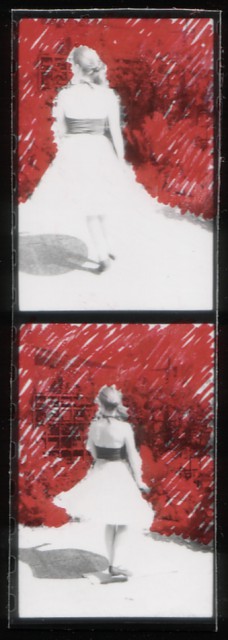 Derwisijana (N.O.S.E. I), 2006