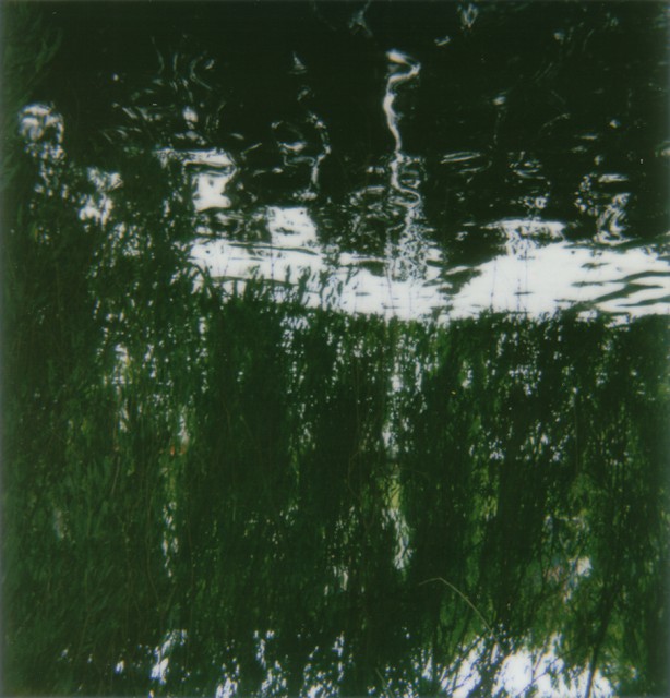 Phoenix (N.O.S.E. I), 2006