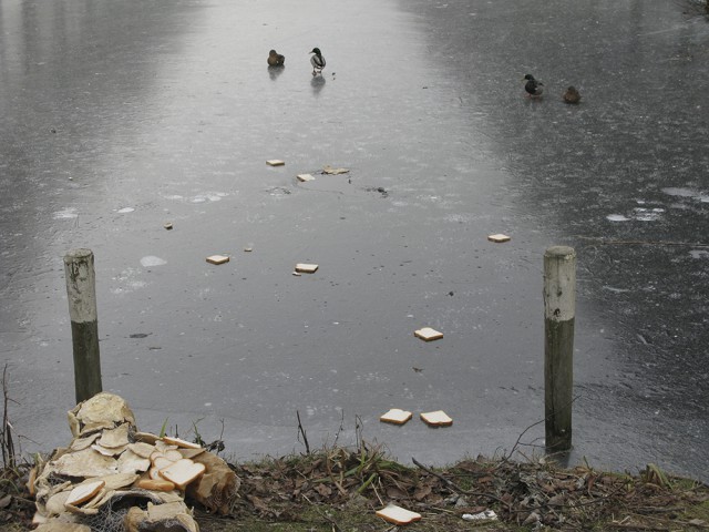 Breadman zero placement (The Breadman Project), 2009
