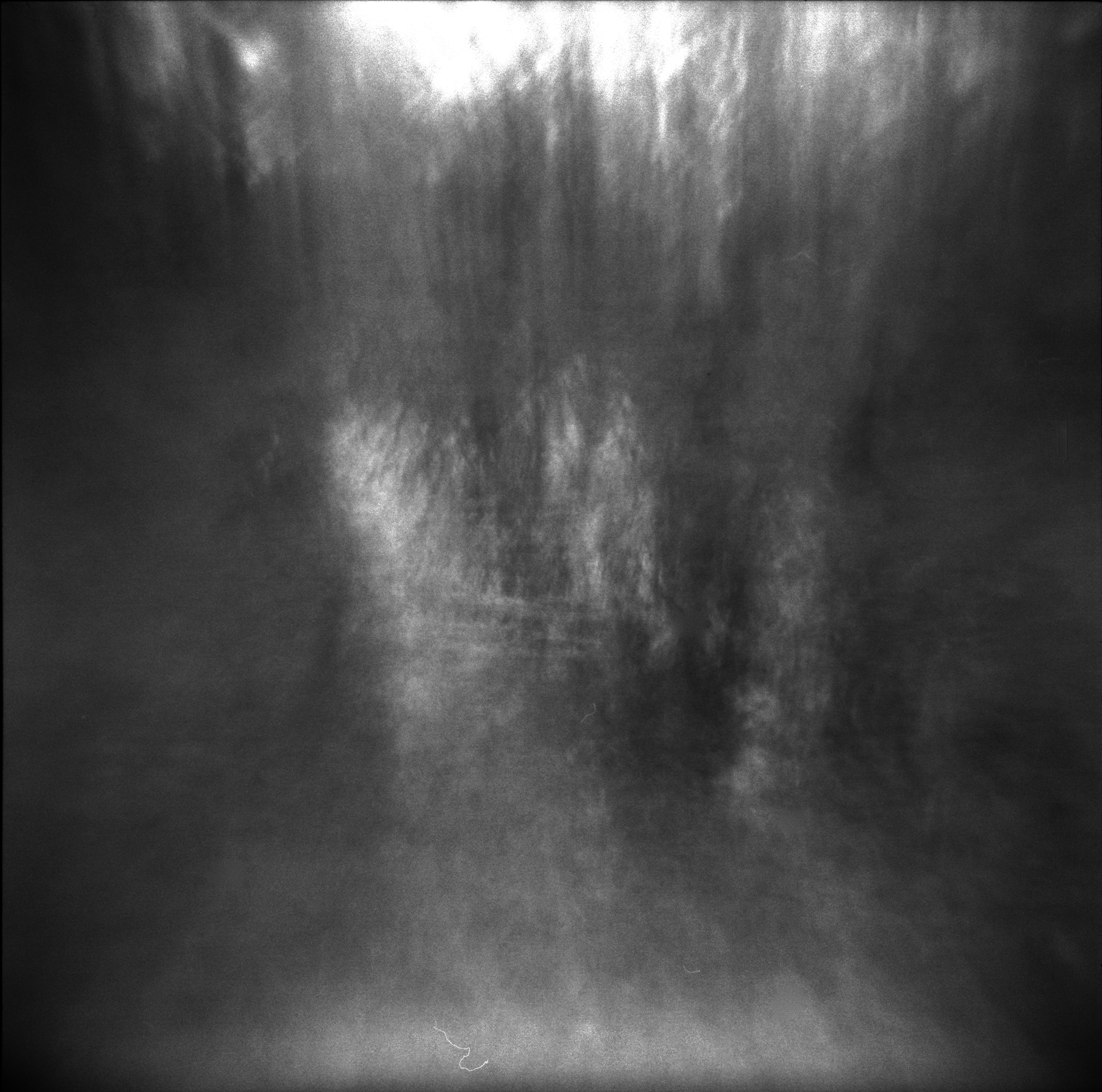 Heiig Heiloo (Landmarking), 2010