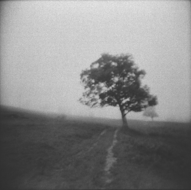 Postidyllic landscape one (Landmarking), 2011