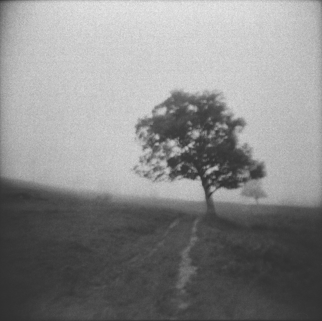Postidyllic landscape one (Landmarking), 2011
