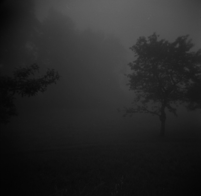 Postidyllic landscape two (Landmarking), 2011