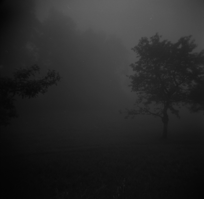 Postidyllic landscape two (Landmarking), 2011