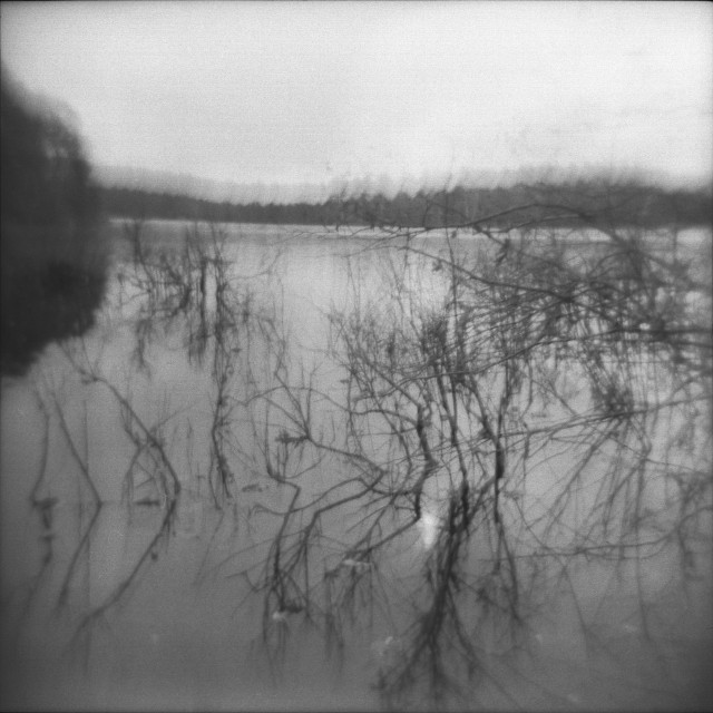 Walden, nr. 1 (Landmarking), 2010