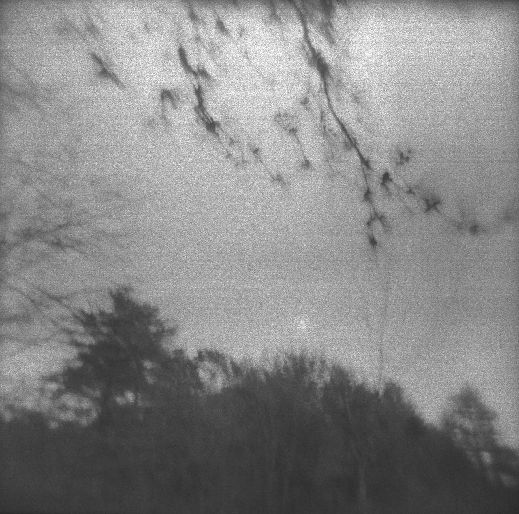 Walden, nr. 2 (Landmarking), 2010