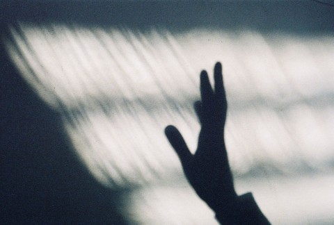 Hand shadow 1 (N.O.S.E. I), 2006