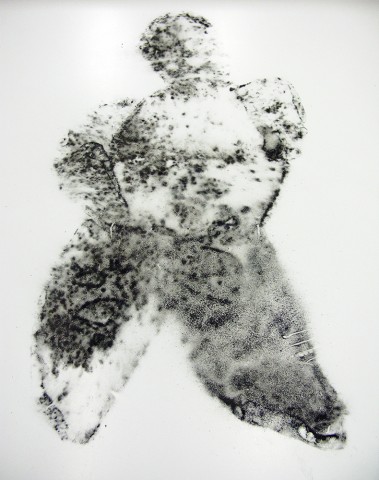 Mould traces of man (The Breadman Project), 2009