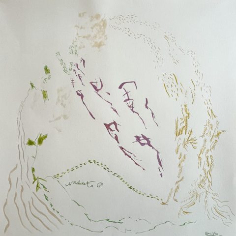 Sources New Meditative Drawings